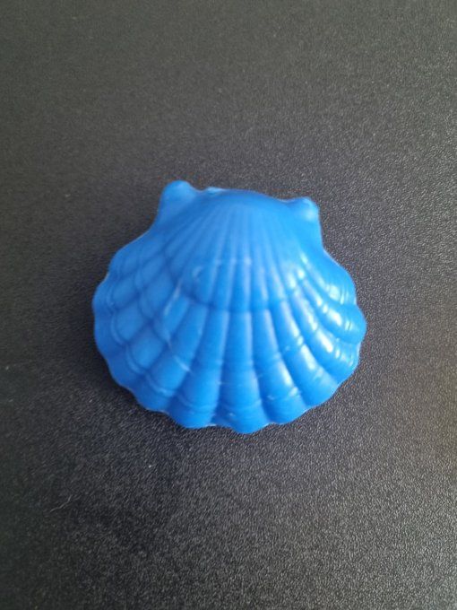 Coquillage senteur Marine