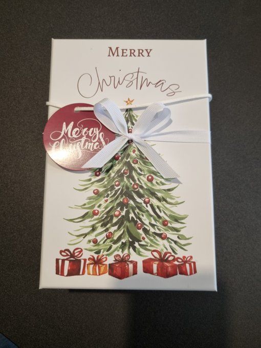 Boîte Merry Christmas